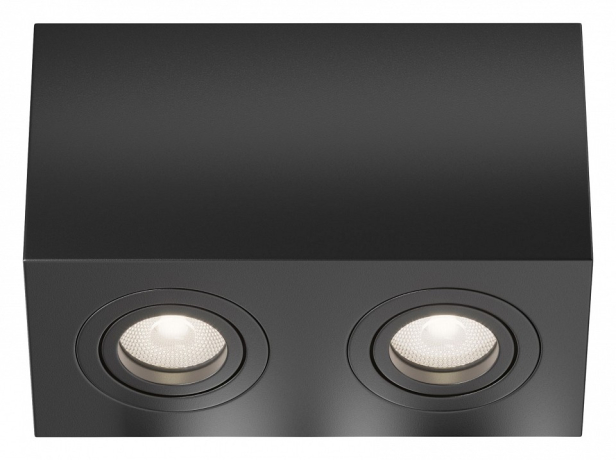 Накладной светильник Maytoni Technical Atom C017CL-02B 