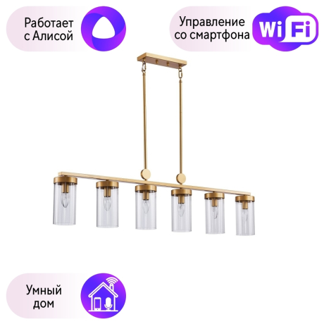 Подвесная люстра Favourite Radiales с поддержкой Алиса 3099-6U-A 