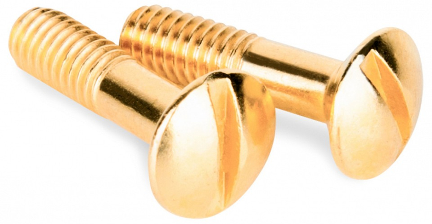 Винт Werkel Ретро (золото) WL18-22-01 