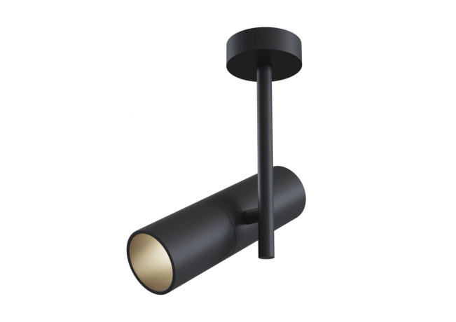 C020CL-01B Потолочный светильник Maytoni Elti 