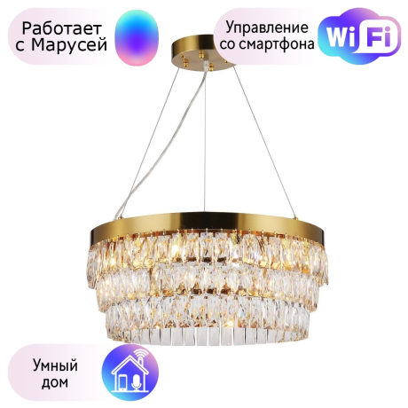 Подвесная люстра Favourite Magnitudo с поддержкой Маруся 2206-12P-М 