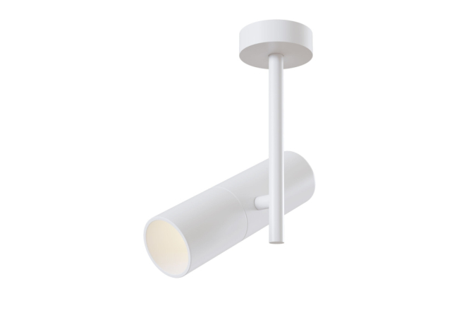 C020CL-01W Потолочный светильник Maytoni Elti 