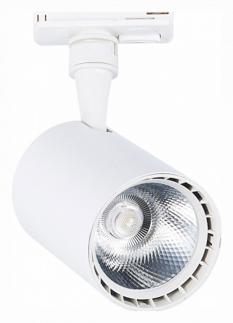 Светильник на штанге ST-Luce Cami ST351.536.15.24 