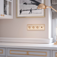 Накладка для телефонной розетки RJ11 (шампань рифленый) Werkel W1192010