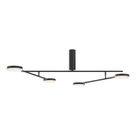 Потолочный светильник Maytoni MOD070CL-L30B3K Fad