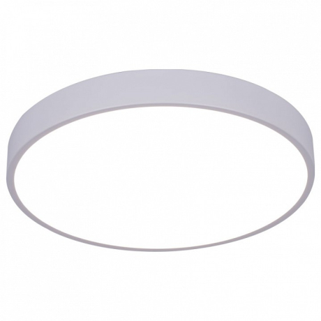 Накладной светильник Arte Lamp Arena A2661PL-1WH 