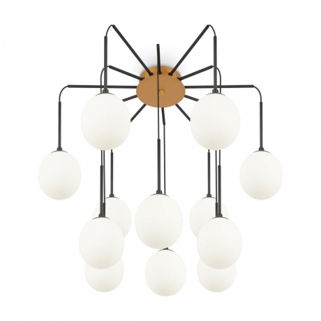 Потолочная люстра Maytoni Branch MOD176PL-12G 