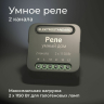 Умное Wi-Fi реле 2 канала Elektrostandard 76007/00 (a059326)
