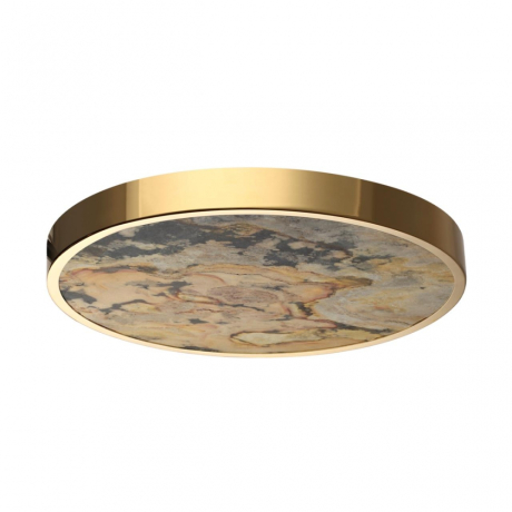 Накладной светильник Odeon Light Bergi 5079/40L 