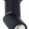 Светильник на штанге ST-Luce ST650 ST650.436.10