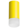 Накладной светильник Lightstar Rullo R43331 
